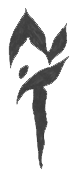 N.T. Dental Corp.